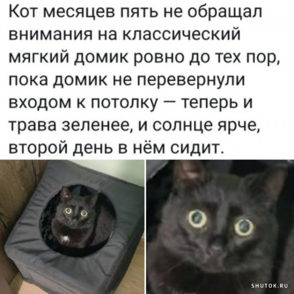 Мем, Джокер