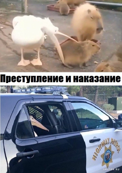 Мем, Джокер