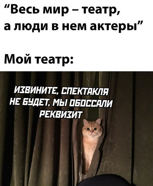 Мем, Брюттон