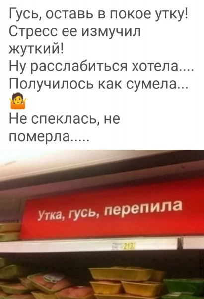 Мем, птица