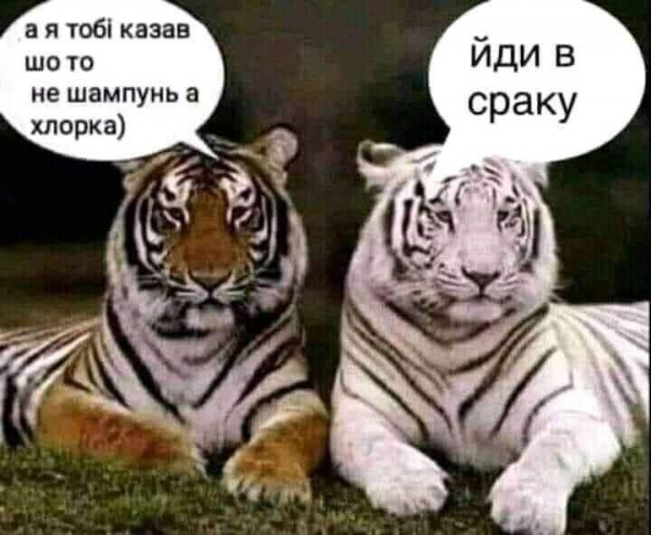 Мем