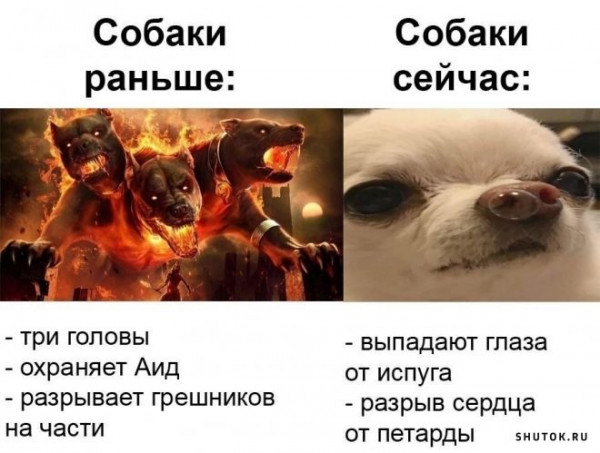 Мем, Джокер