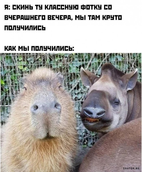 Мем, Джокер