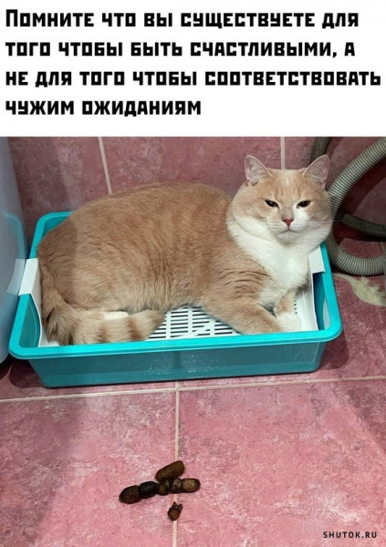 Мем, Джокер