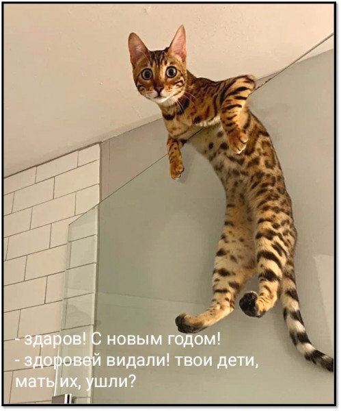 Мем