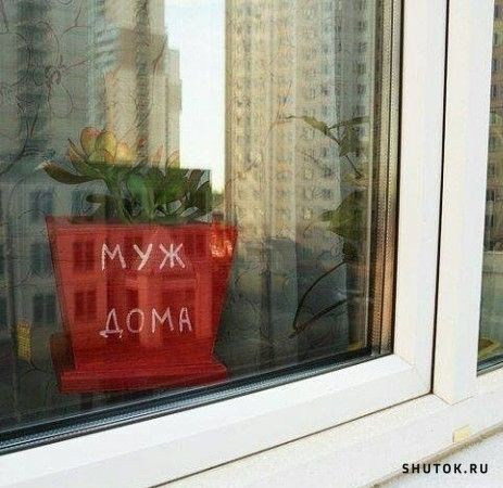 Муж Дома Фото