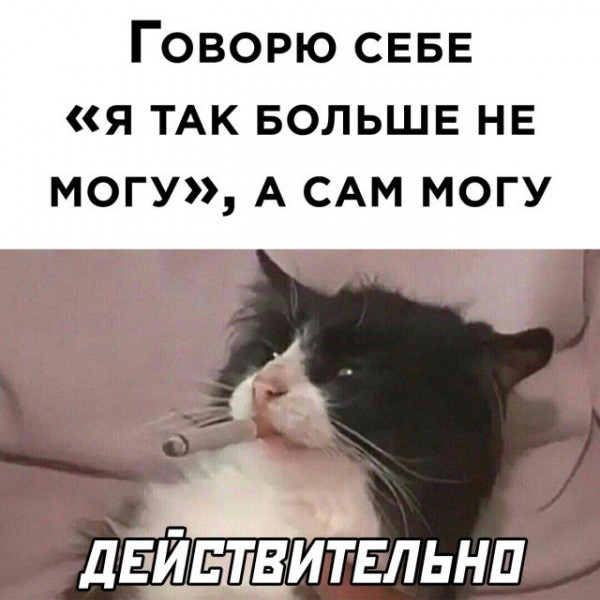 Мем, Брюттон