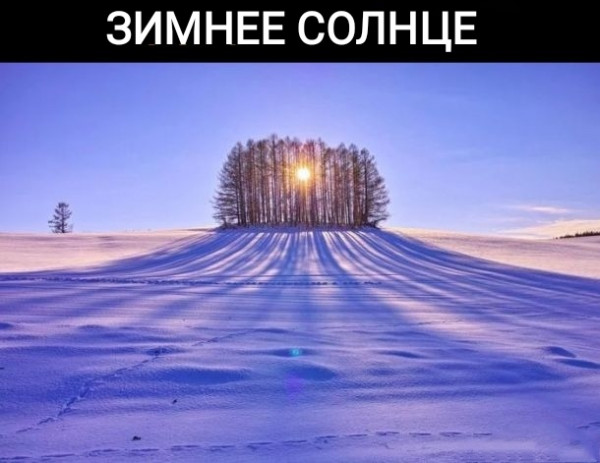 Мем, Рысь