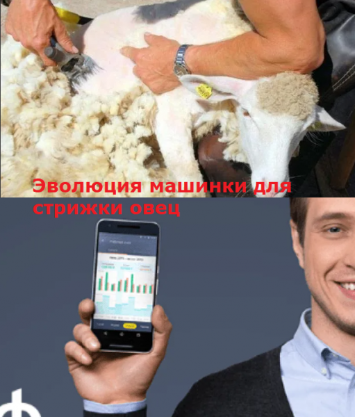 Мем: Эволюция машинки для стрижки овец