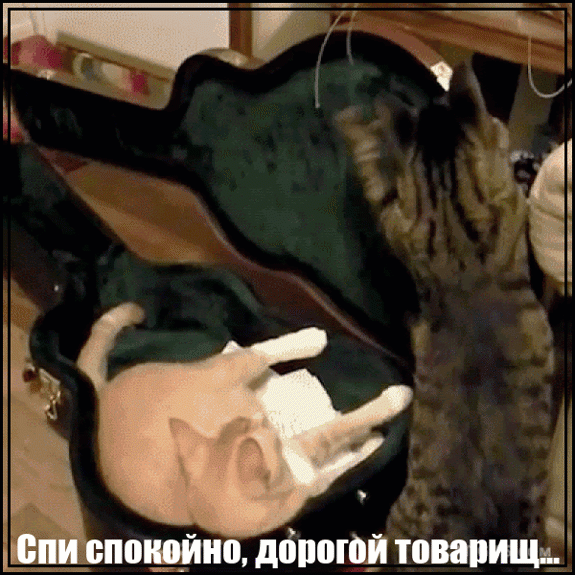 Мем: Спи спокойно..., Серж Скоров