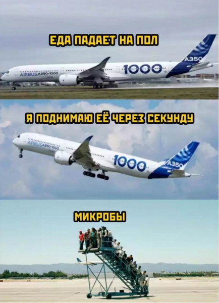 Мем, Брюттон