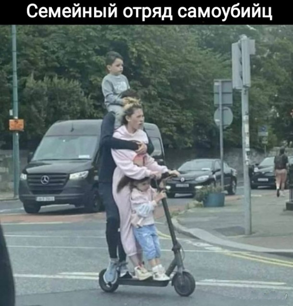 Мем, Рысь