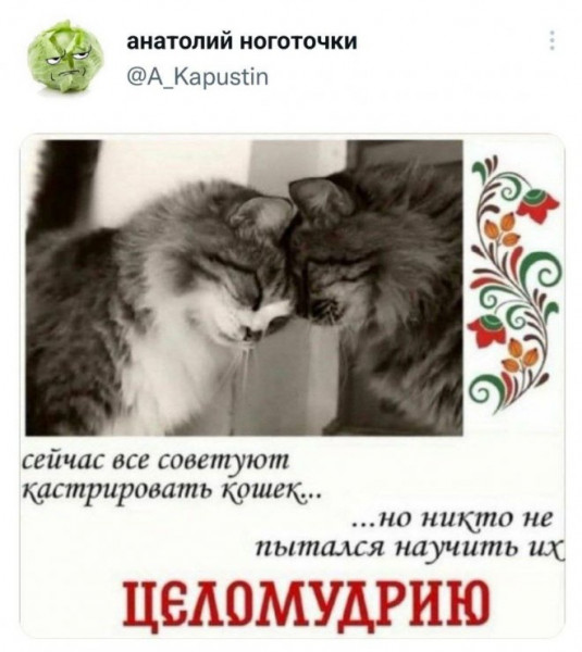 Мем, Брюттон