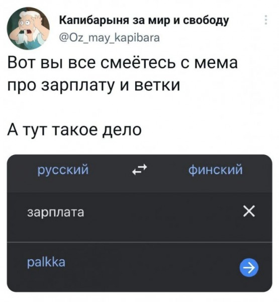 Мем, птица