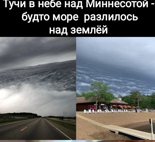 Мем, Рысь