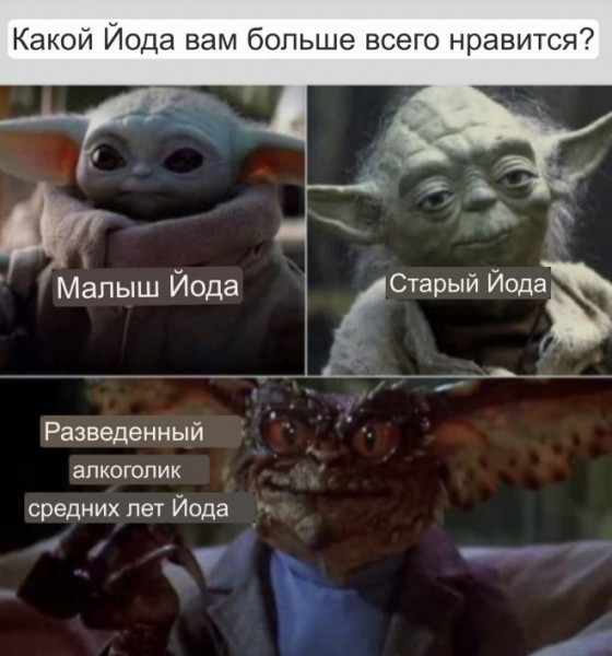 Мем, птица