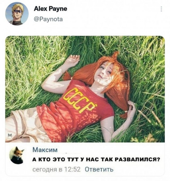 Мем, птица