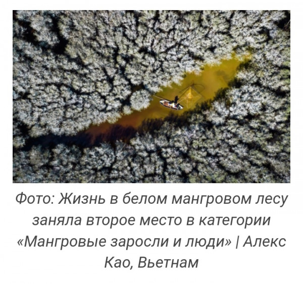 Мем, manNOwar