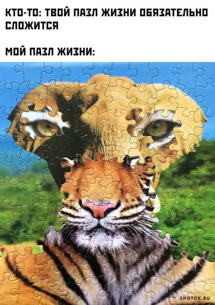 Мем, Джокер