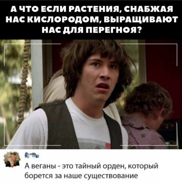 Мем, птица