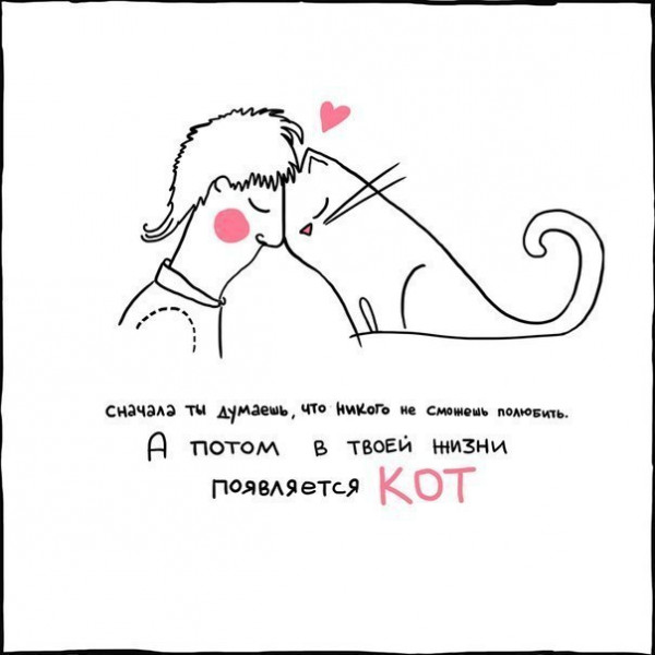 Мем, Кот Отморозкин