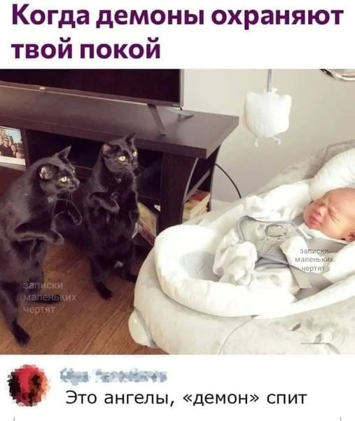 Мем, Cat Fil