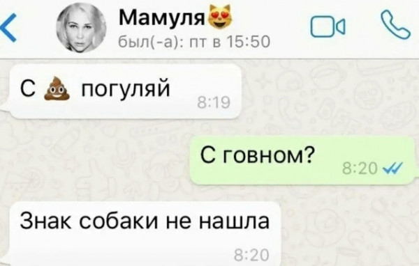 Мем, Кот Отморозкин