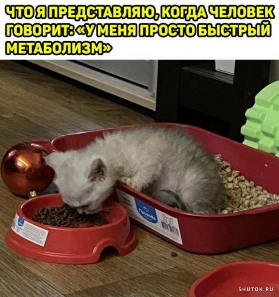 Мем, Джокер