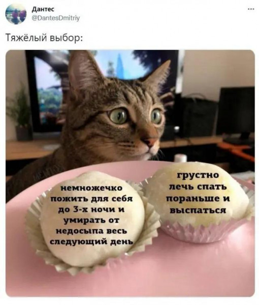 Мем, Брюттон