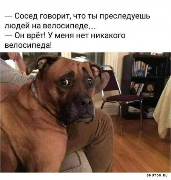 Мем, Джокер