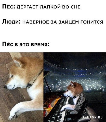 Мем, Джокер