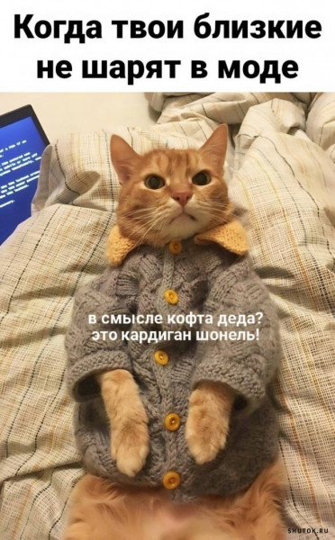 Мем, Джокер