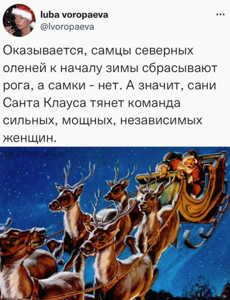 Мем, Брюттон