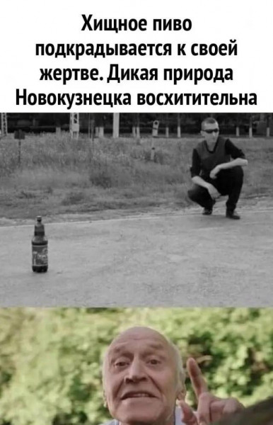 Мем, Брюттон