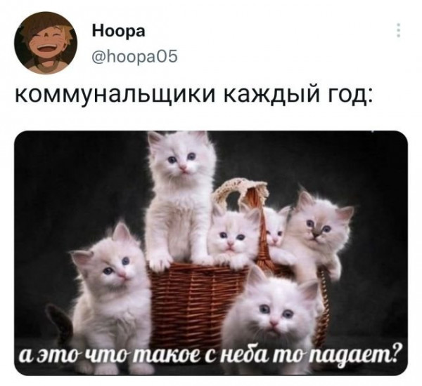 Мем, Брюттон