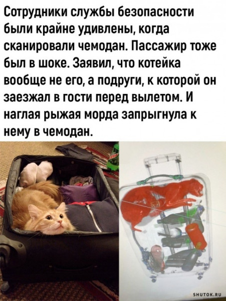 Мем, Джокер