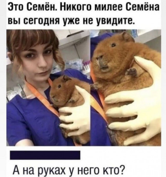 Мем, lugy