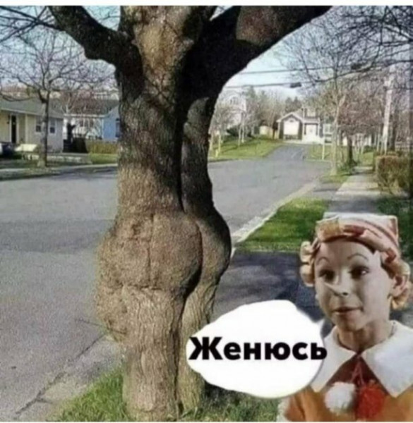 Мем: Женюсь!..