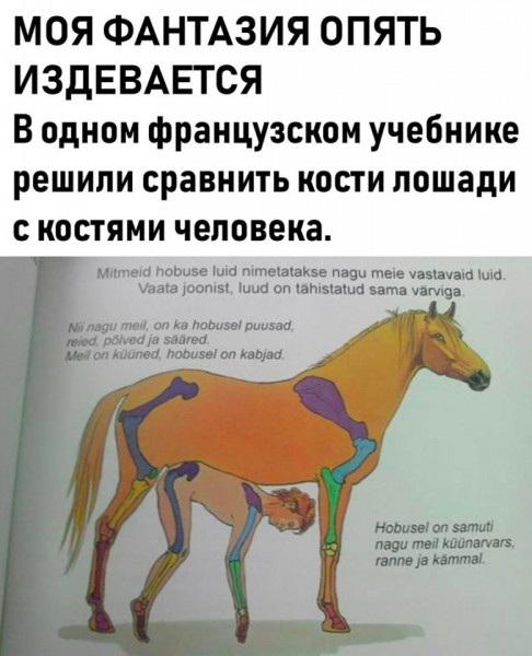 Мем