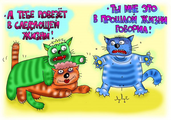 Карикатура: когда у тебя 9 (плюс минус) жизней..., Леонид Давиденко