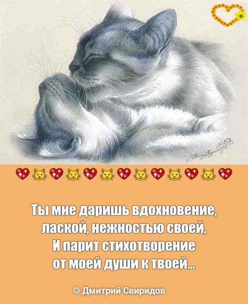 Мем: Всем влюблённым ♡