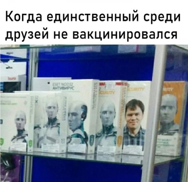 Мем, птица