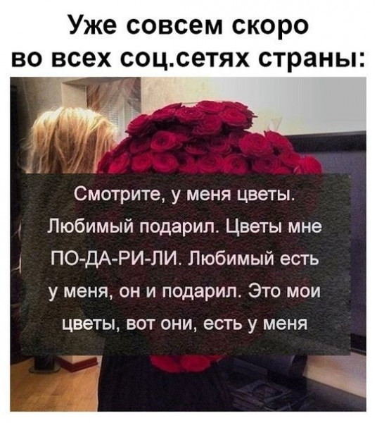 Мем, Брюттон