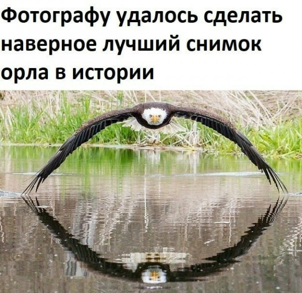 Мем