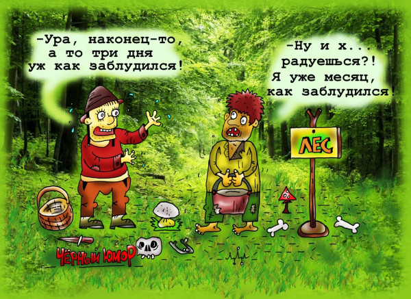 Карикатура: счастье было недолгим, Леонид Давиденко