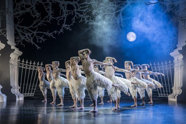 Мем: The Swan Lake ("Лебединое озеро"), Criptor