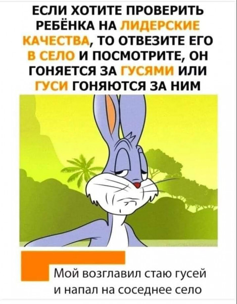 Мем, комент