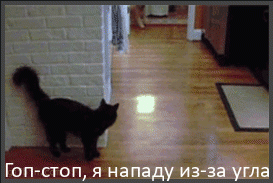 Мем: Гоп-стоп котиного масштаба, Серж Скоров
