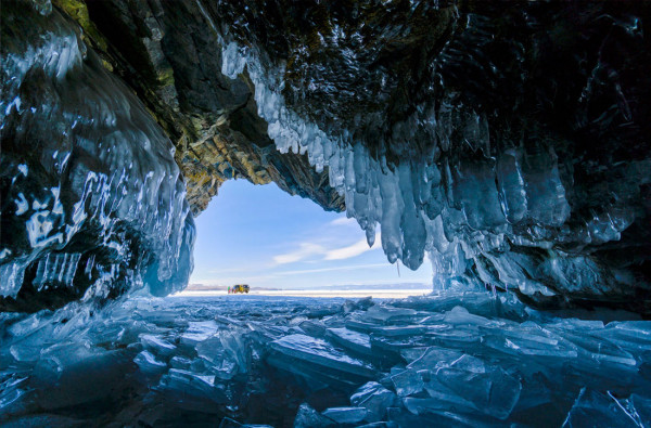 Мем: World Nature Photography Awards 2021, Оби Ван Киноби