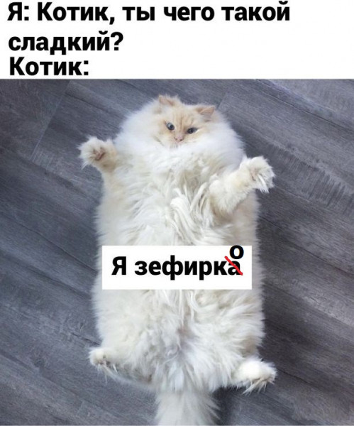 Мем